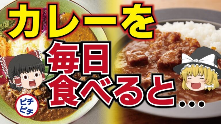 【ゆっくり解説】カレーを毎日食べるとどうなる？健康効果とカレーの知られざるひみつとは…