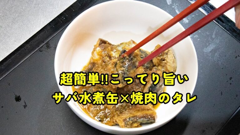 サバ水煮缶を焼肉たれで煮込んでみたワンパン手抜きレシピ