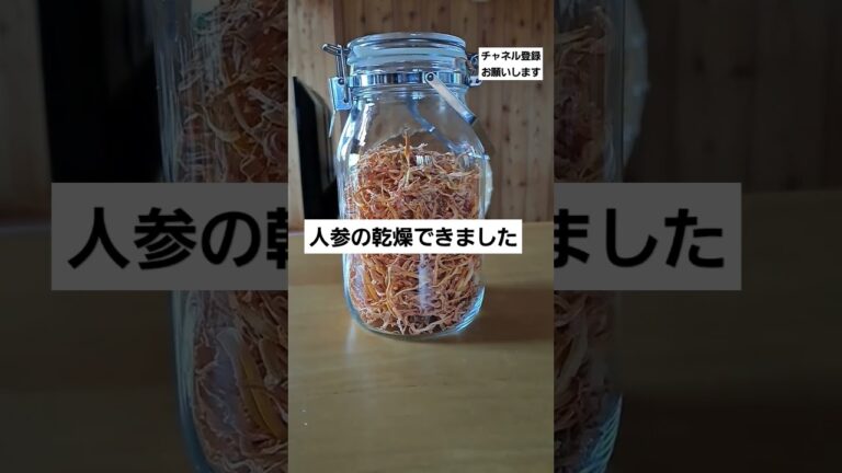 自家製無農薬人参乾燥#人参#干す#味噌汁#炒め物#便利