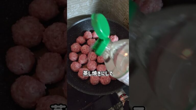 ミートボールとポテトグラタン弁当#day66