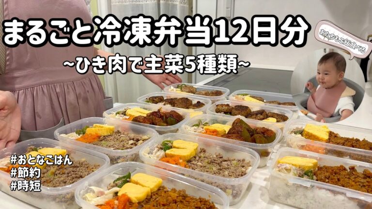 【1児のママが作るまるごと冷凍弁当】1度に12食作り置き|同じ材料で主菜5種類|1日頑張って2週間ラクする|レンジで時短|栄養満点弁当|作り置きでママのひとり時間を確保する【ひき肉】