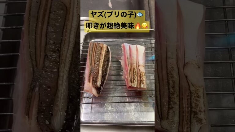 脂の乗ったヤズ(ブリの子)🔥🔥叩きが超絶美味い😋🔥🐟#鰤#ブリ#ハマチ#ヤズ#熊本#鮮魚タケル