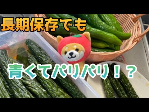 【奥様必見】Ruri's KitcheN 長期保存でも青くてパリパリ！？キュウリの簡単漬け🥒