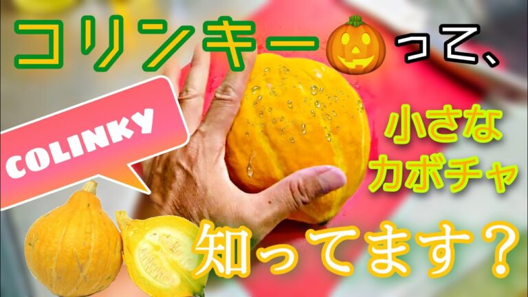 【簡単料理】ナマが美味しい！コリンキーのピクルス＜柚子胡椒代用編＞