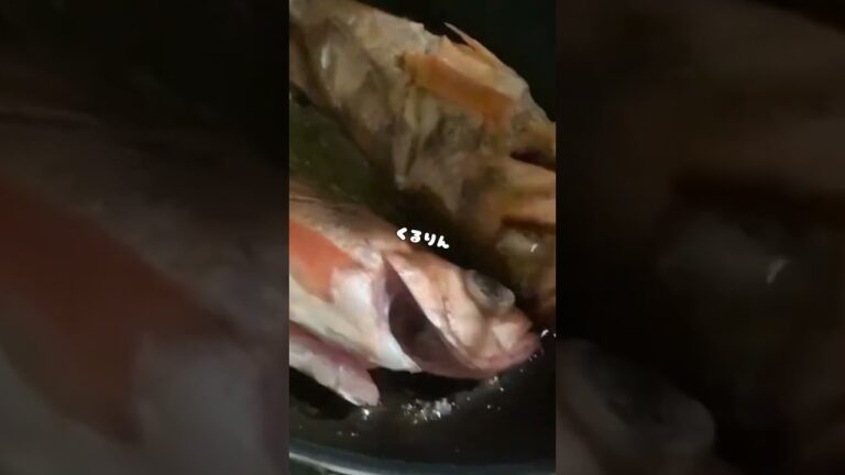 メバルのアクアパッツァ作ってみた #釣り #魚釣り #料理 #fishing #魚 #富山湾 #イタリアン #shorts