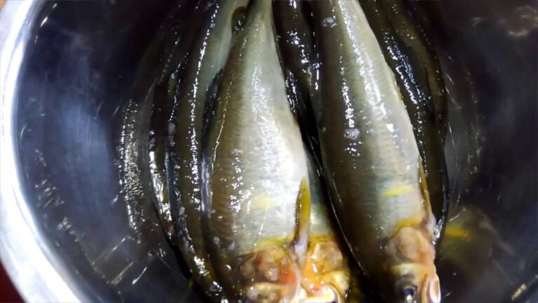 海魚も美味しいけど　河魚は　繊細なお味ですきです