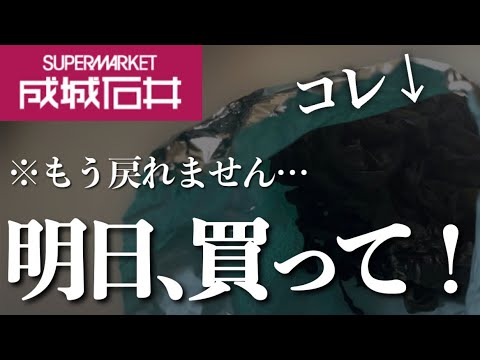 【成城石井5月】元店長が伝えたい。食べなきゃ損する美味しさ。地味だけどロングセラー！新物がある内に食べて欲しい！新商品＆新物12選✨