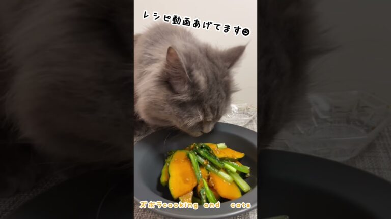 レンジだけで作る！かぼちゃと小松菜のゴマ和えwith cats