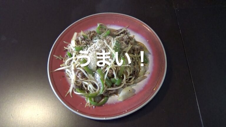 牛肉、もやし、ピーマン、玉ねぎで料理２品つくる！File No.121