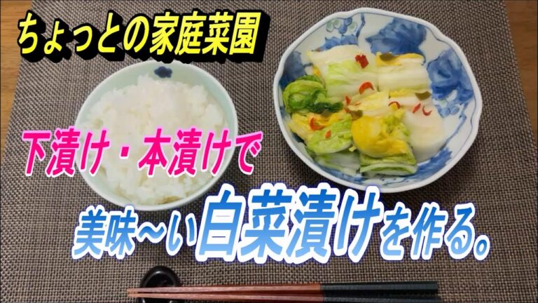 【白菜漬け】冬の定番、二度漬けで美味～い白菜漬けを作ります。