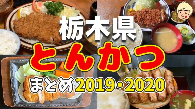 【肉厚柔らか♡】栃木県で2019年・2020年に食べたとんかつまとめ【日光市/宇都宮市/小山市/矢板市】