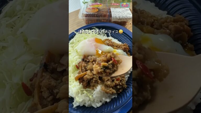 オリジン弁当のアジアンフェアでタイ料理「ガパオライス～タイ産ホーリーバジル使用～」と「若鶏の唐揚げ（マッサマンカレー味）」を実食してみた！