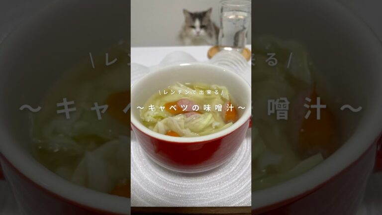 レンチン⚡️キャベツの味噌汁🪹 #レシピ #キャベツレシピ #ダイエットレシピ