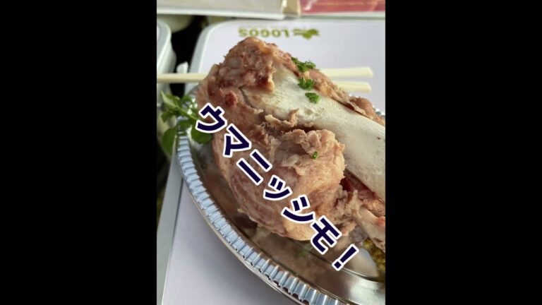 内子ドイツフェスタにてビール＆アイスバイン＆プレッツェル＆ソーセージでウマニッシモ！　らくさぶろうの日々食日記209