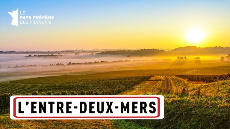 L'Entre-deux-Mers : une terre de tradition viticole - 1000 Pays en un - Documentaire Voyage - MG