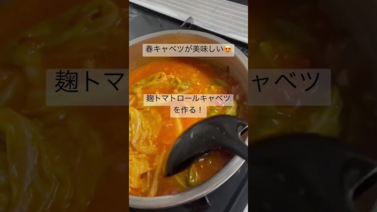 麹トマトロールキャベツを作る！春キャベツが美味しい😍#shorts