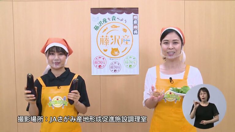 レンジで簡単！スタミナ満点の茄子のガパオライス（藤沢産食材：ナス）＊チャンネル登録お願いします！！(^o^)／