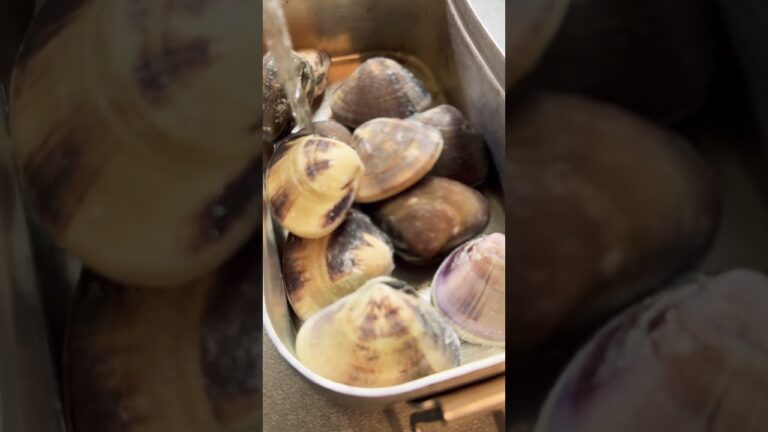 メスティンでハマグリ酒蒸しが美味すぎた…… #キャンプ飯