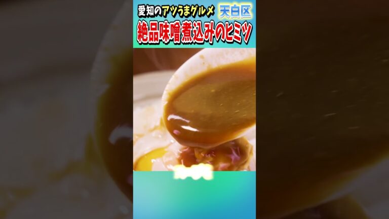 【名古屋市天白区】愛知のアツうまグルメ 絶品味噌煮込みのヒミツ