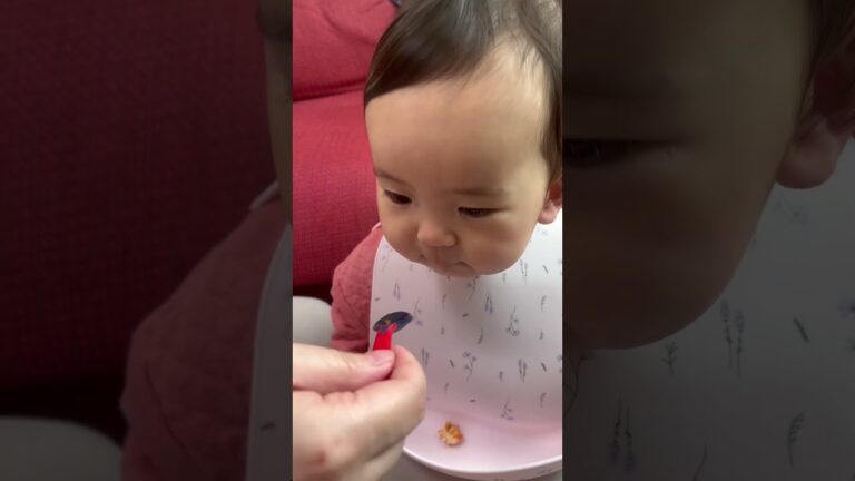 はじめてのミートボール【1歳1か月】#shorts #赤ちゃん #baby #離乳食 #first #babyfood #meatballs