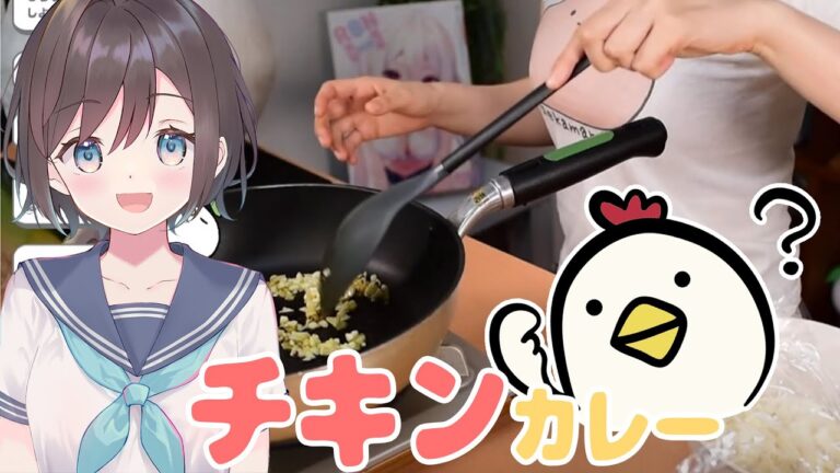 【実写📸料理】手羽先カレー