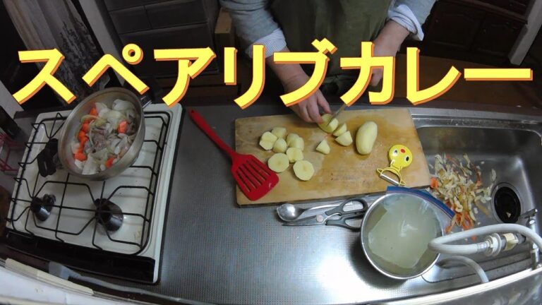 #287【キッチン俯瞰16倍速】夕食作り「スペアリブのカレー」