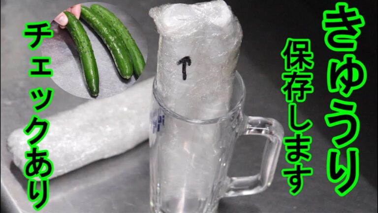 きゅうりの保存  3パターンで2週間後にチェック 冷凍保存する場合