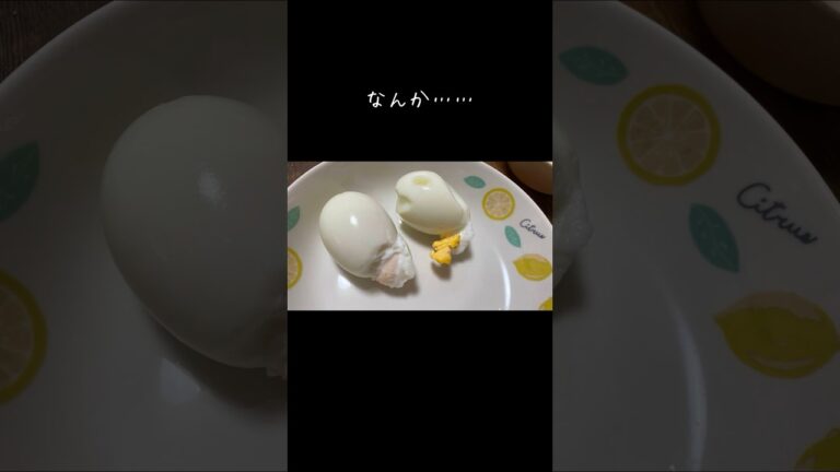 ??ゆで卵??