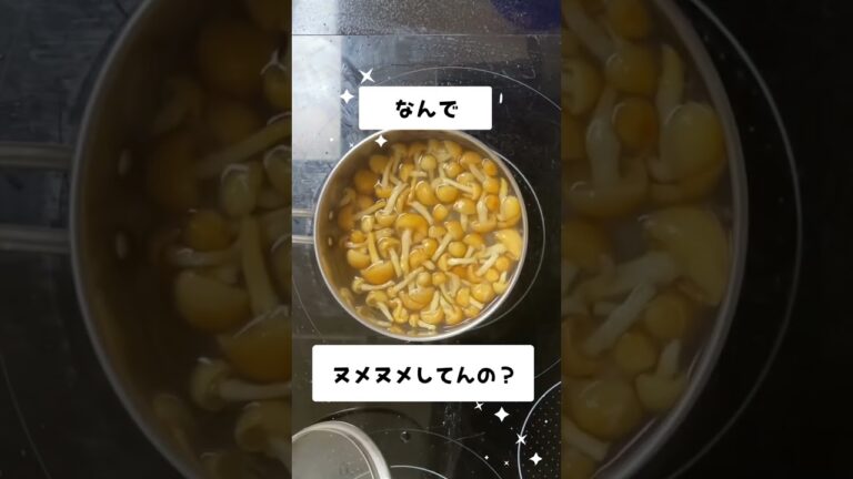 vol.4 なめこの味噌汁   #レシピ #レシピ動画 #料理動画 #簡単レシピ #料理好きと繋がりたい #親父 #娘 #なめこ #グルメ #日本食 #味噌汁