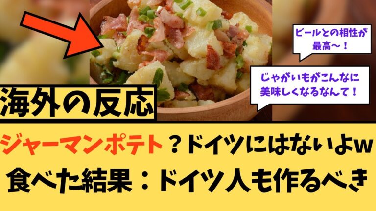 【海外の反応】ジャーマンポテト？ドイツにはないよwに対する海外ニキたちの反応集