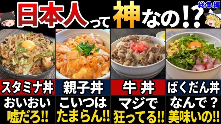 【ゆっくり解説】【ゆっくり解説】海外の人が羨む！日本のスタミナ丼７選【総集編】