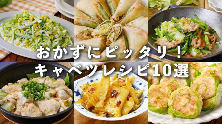 【キャベツレシピ10選】サラダや蒸し料理、炒め物など！主菜から副菜まで♪#キャベツ #おかず #レシピ