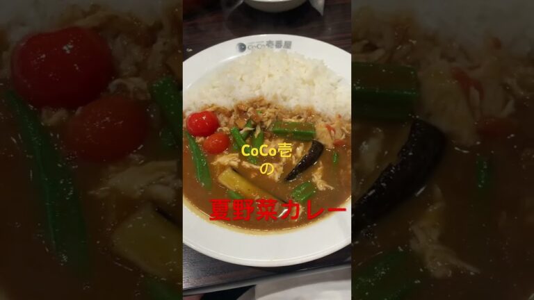 今日はCoCo壱の夏野菜カレー🍛美味いっ♡