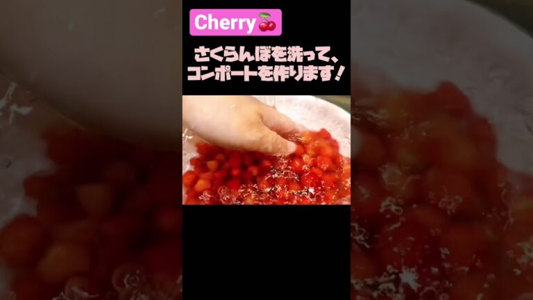 庭の豊作さくらんぼ②コンポート、サイダーで割ると美味い！！#shorts