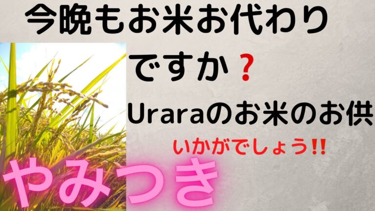 七彩新米　と　ご飯のお供‼️　もうお米止まりません！！＃新米＃ご飯のお供＃野菜ソムリエ