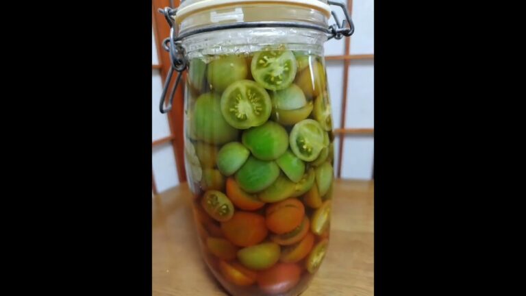ミニ青トマト🍅ピクルス🍅作ってみたー