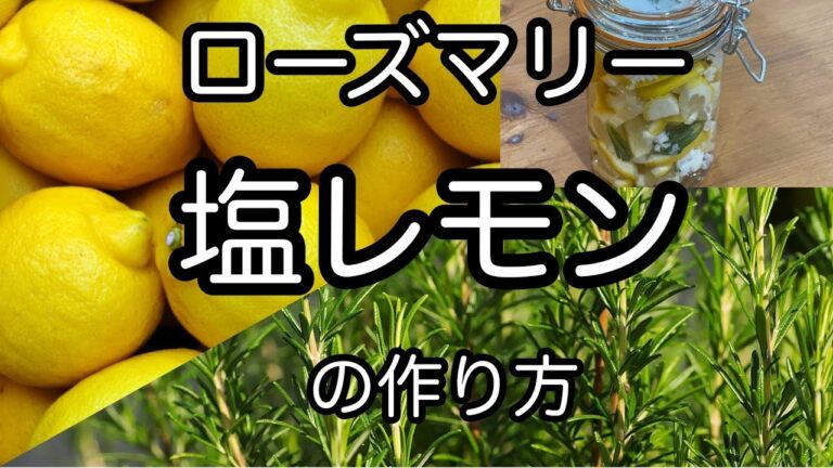 万能調味料！【ローズマリー塩レモンの作り方】簡単美味しい！保存食　発酵食品　All-purpose seasoning [How to make roastmary salt lemon]