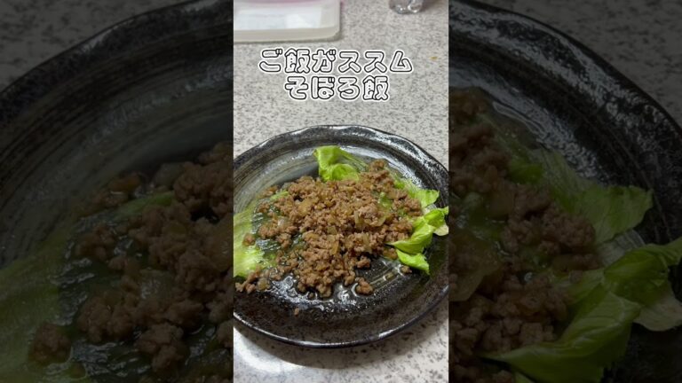 ご飯がススム　そぼろ飯！ひき肉200g 玉ねぎ半分　醬油　大さじ1 みりん　大さじ1 砂糖　大さじ1 生姜とニンニクはお好みで！　#白飯