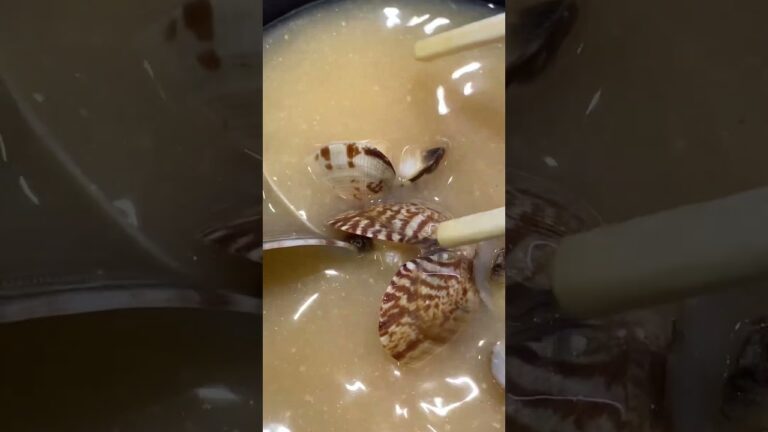 2023.5.5 あさりの味噌汁