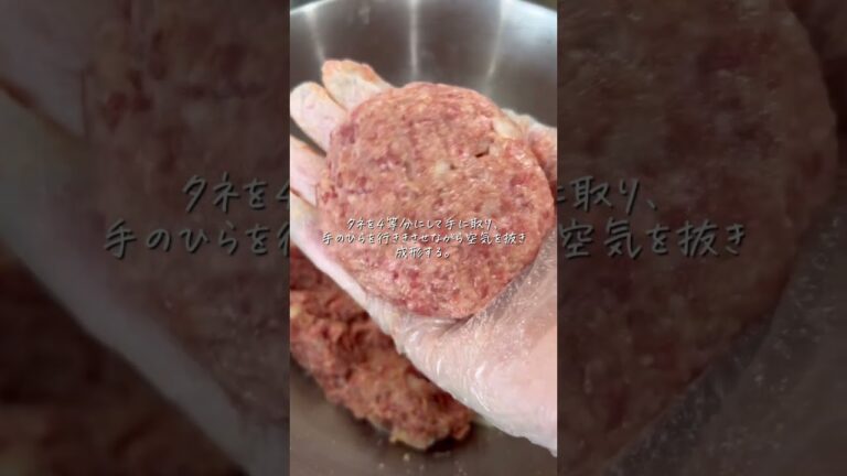煮込みハンバーグ