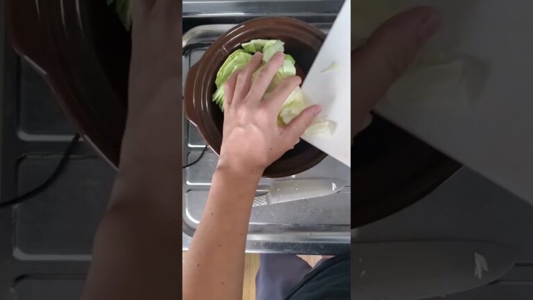 手羽元のトマト煮 #shorts #料理 #鶏肉料理 #鳥肉料理 #手羽元 #トマト煮 #トマト缶 #鳥肉レシピ #スロークッカー