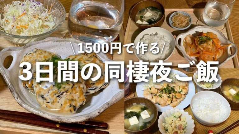 【2人暮らし】鶏むね肉とお豆腐に頼りまくる節約夜ご飯❤️‍🔥￤豆腐ハンバーグ/むね肉の南蛮漬け/ねぎ塩チキン