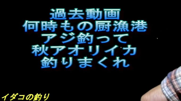 秋と言えばアオリイカ開幕！厨漁港で釣りまくれ
