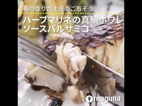 春の香りが主役のごちそう ハーブマリネの真鯛ポワレ ソースバルサミコ ｜ moguna[モグナ]
