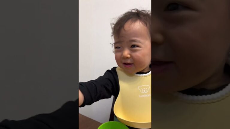 優男♡ #サラダ春菊の白和え #しめじソテー #大なめこの味噌汁 #豚肉の卵炒め #きゅうり #アボカド #ブロッコリーの新芽　#shorts