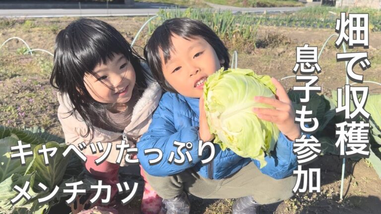 畑で採れたキャベツたっぷり！親子で挑戦したメンチカツづくり、しかし2歳の娘は…？