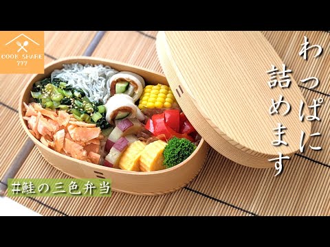 鮭の三色弁当の作り方お洒落な詰め方コツ！小松菜、しらす入り
