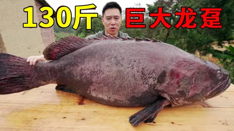 130斤巨无霸龙趸，全村人吃嗨了！【小文哥吃吃吃】