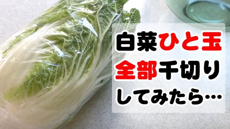 【簡単レシピ】白菜ひと玉ぜ～んぶ塩揉み！ちょい足しするだけ！いろいろ楽しむちっちゃなおかず【大量消費】