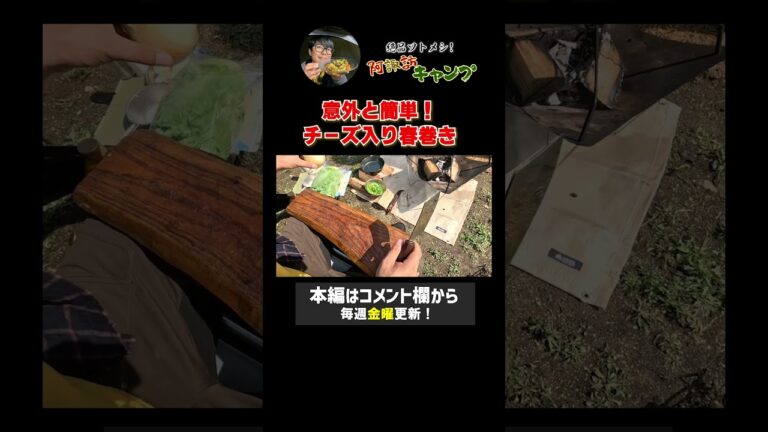 【キャンプ飯】チーズ春巻き #阿諏訪 #キャンプ #キャンプ飯  #長野